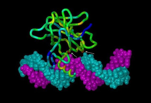Πειραματική ουσία υπόσχεται να τα βάλει με πολλές μορφές καρκίνου